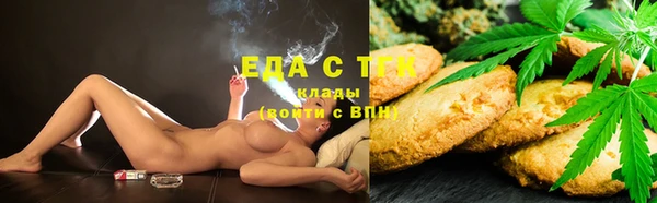 первитин Горняк