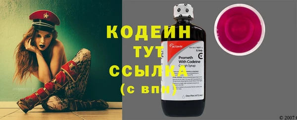 мдпв Струнино