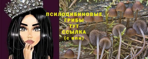прущая мука Горнозаводск